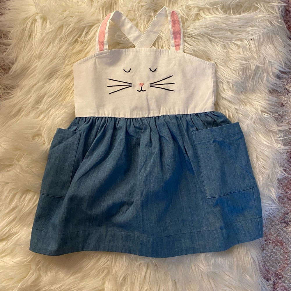 Hanna Anderson bunny dress